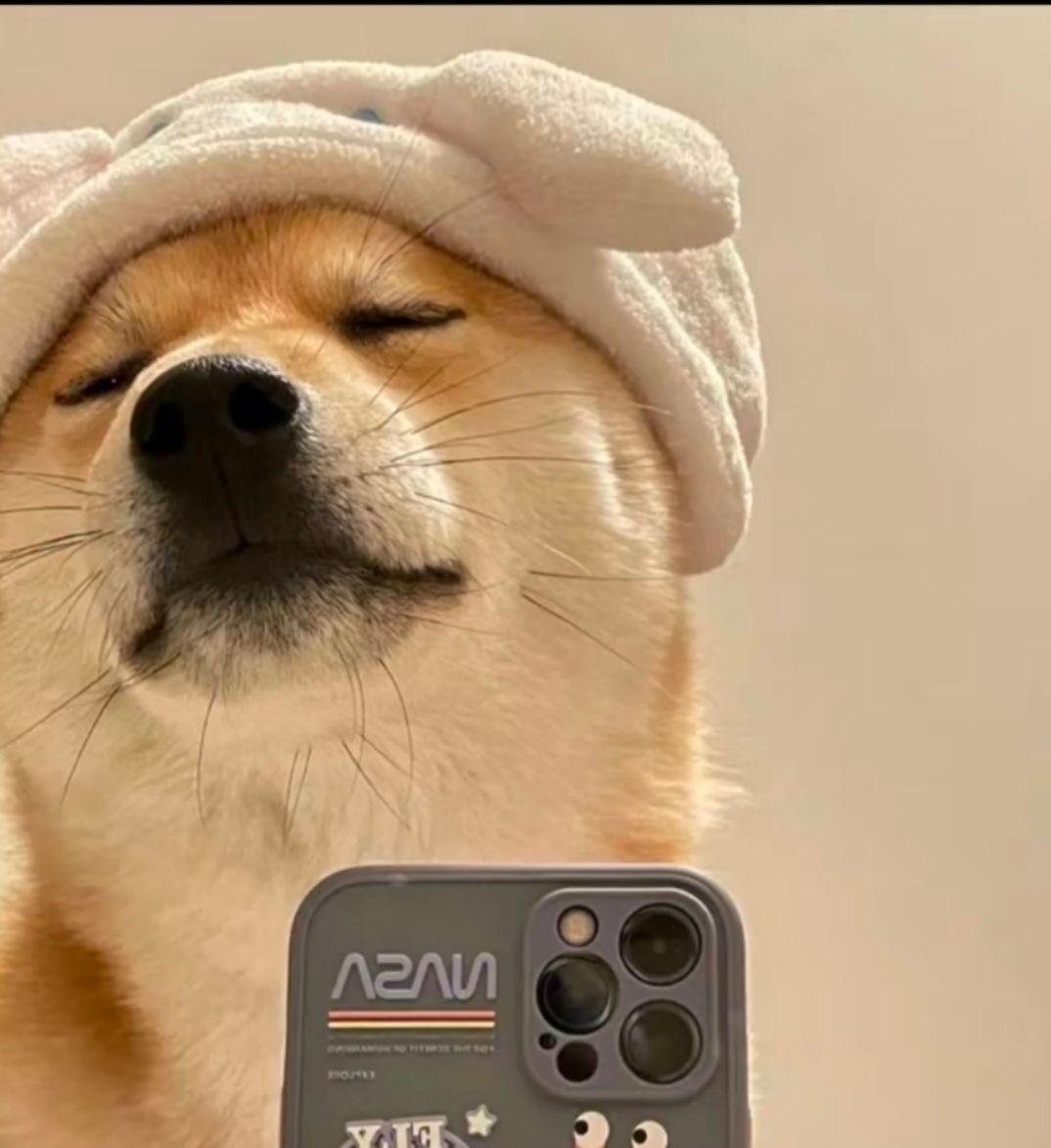 文案策划网：短句干净治愈文案11